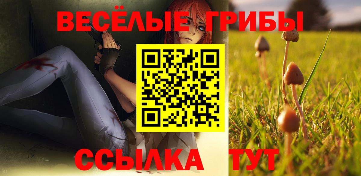 Галлюциногенные грибы Psilocybe  Вход с VPN  Тара 