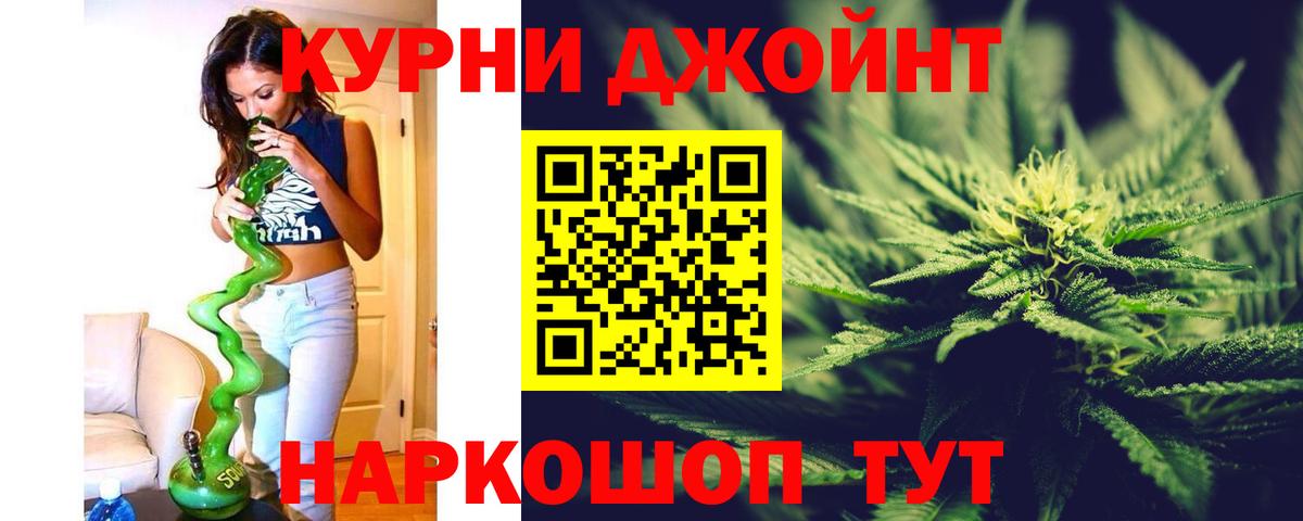 Шишки марихуана план Тара